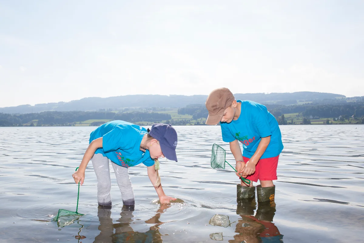 Impressionen von den Ausflügen der Junior Ranger am Greifensee